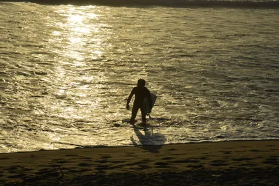 DSC_7259 (Large).JPG